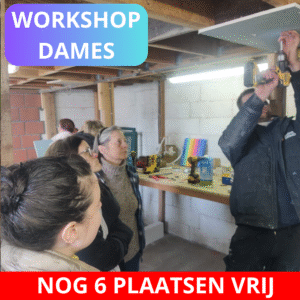 Namiddag Workshop leer boren en schroeven enkel voor dames Datum: 24 augustus