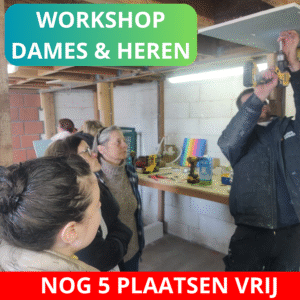 Namiddag Workshop leer boren en schroeven voor dames & heren Datum: 8 mei