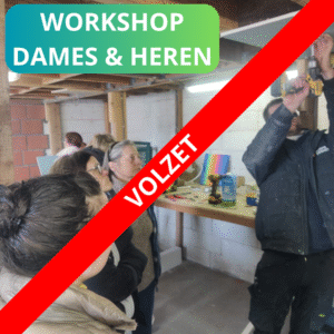 Namiddag Workshop leer boren en schroeven voor dames & heren Datum: 8 mei